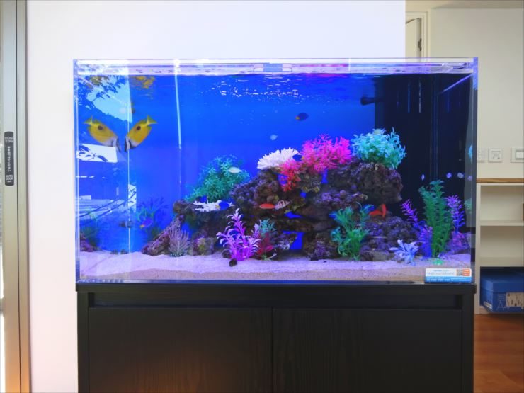 愛知県岡崎市 薬局 90cm海水魚水槽 設置事例 水槽画像1