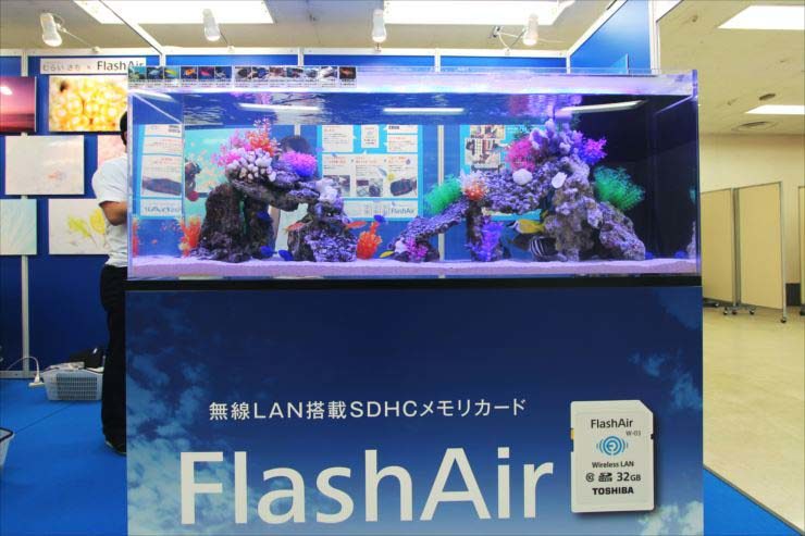 サンシャインイベント 水槽設置事例のサムネイル画像