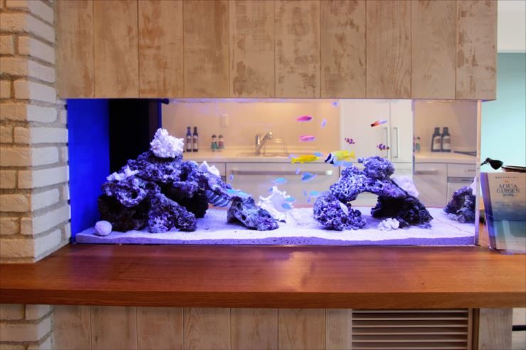 住友林業株式会社様 120cm海水魚水槽 設置事例