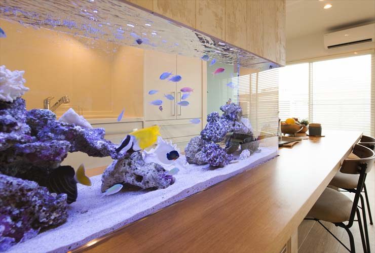 住友林業株式会社様 120cm海水魚水槽 設置事例のサムネイル画像