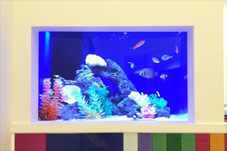 美容サロン様 60cm海水魚水槽 設置事例のサムネイル画像