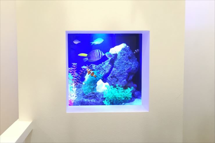美容サロン様 60cm海水魚水槽 設置事例 水槽画像3