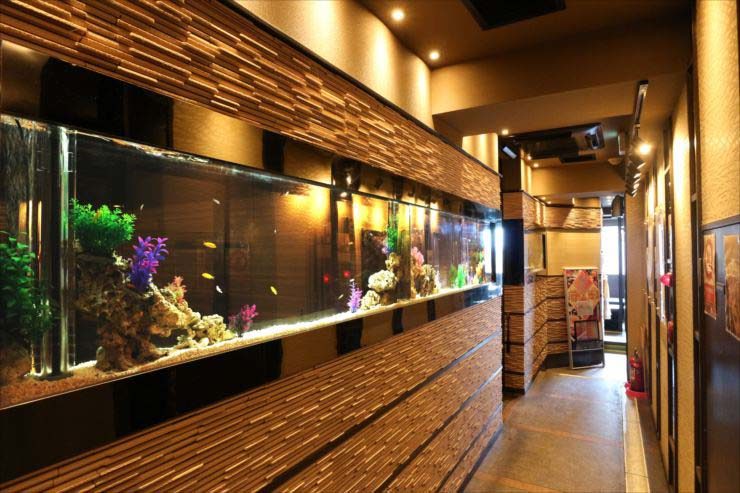 飲食店 水槽 メンテナンス代行