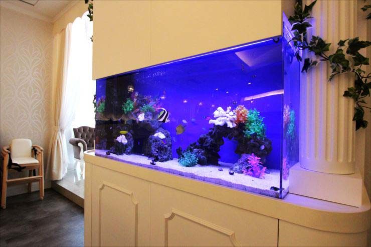 東京都豊島区 飲食店様 120cm海水魚水槽レンタル事例のサムネイル画像
