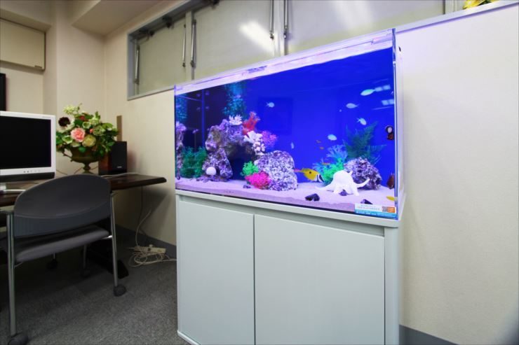 東京都豊島区 企業様  90cm海水魚水槽  設置事例のサムネイル画像
