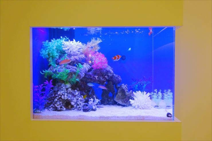 サロン様 60cm壁埋め込み水槽 海水アクアリウム 設置事例のサムネイル画像