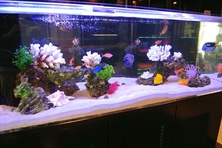 東京都台東区 企業様 150cm海水魚水槽 設置事例 水槽画像2