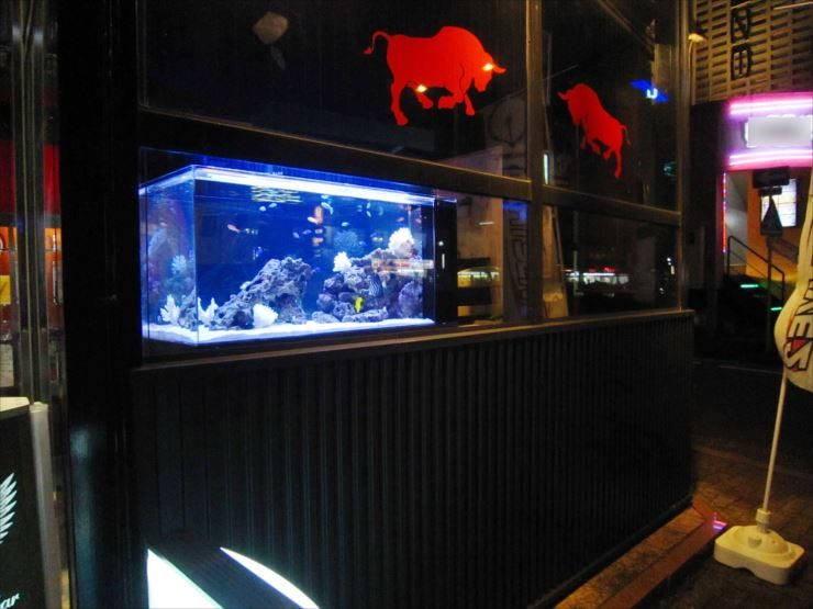 飲食店内 幻想的な特注海水魚水槽 設置事例 水槽画像2