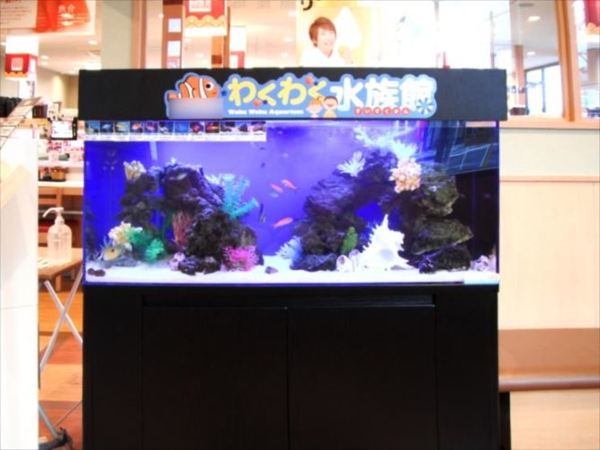 飲食店の待合ロビー 120cm海水魚わくわく水槽 設置事例 メイン画像