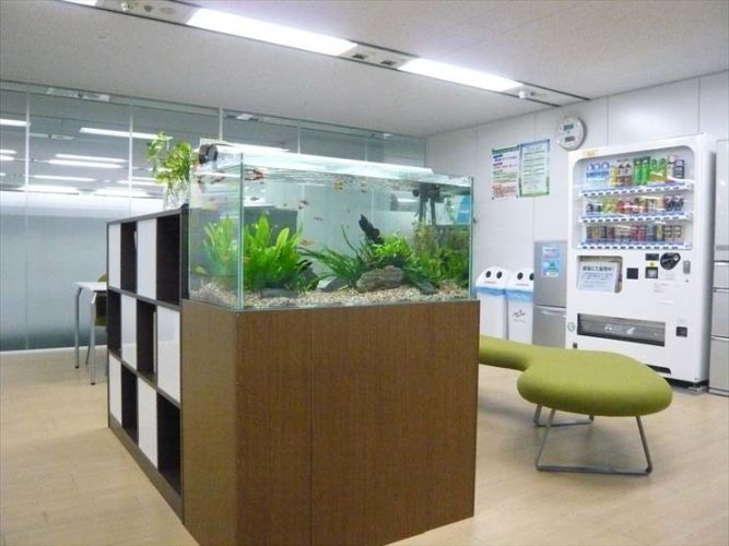 神奈川県川崎市 企業様 90cm淡水魚水槽 レンタル事例のサムネイル画像