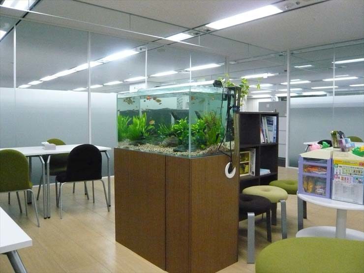 神奈川県川崎市 企業様 90cm淡水魚水槽 レンタル事例 水槽画像2
