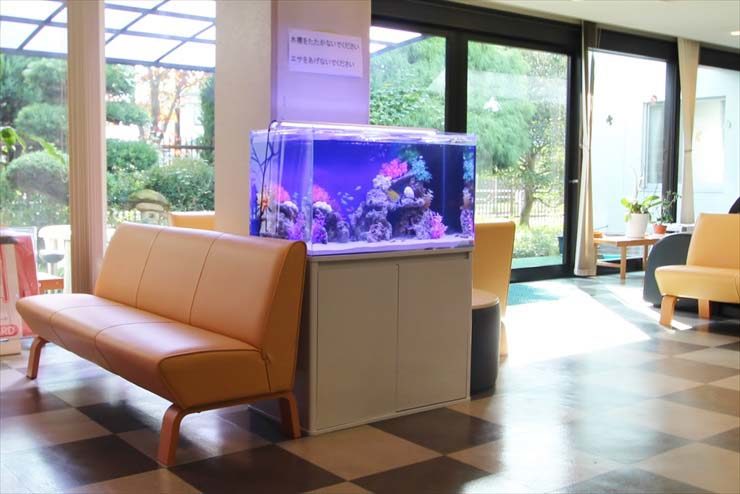 府中市　オフィス事務所　90cm海水魚水槽　設置事例のサムネイル画像