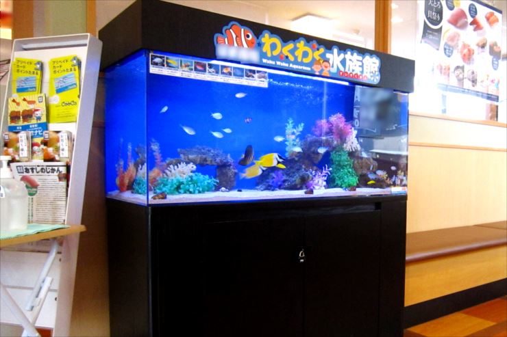 飲食チェーン店の待合スペース わくわく水族館 設置事例 メイン画像