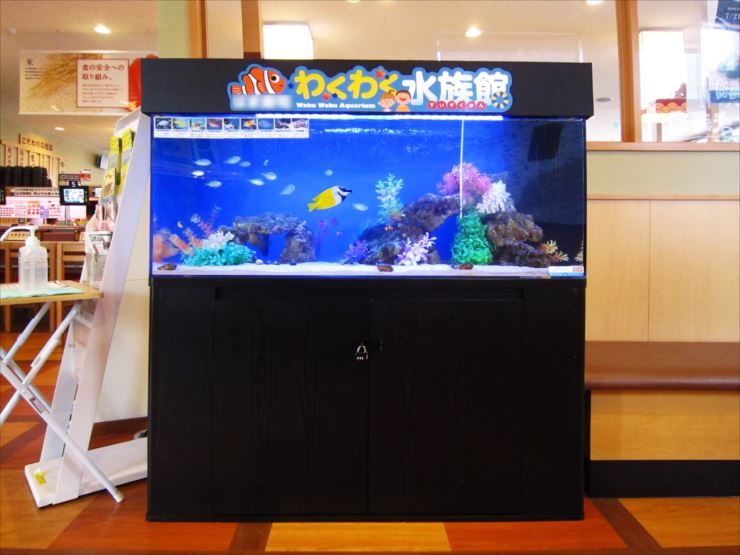飲食チェーン店の待合スペース　わくわく水族館　設置事例 水槽画像２