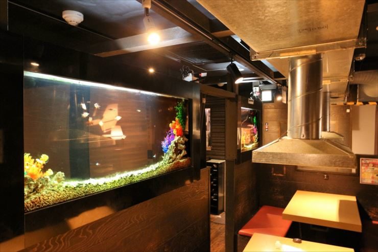 八王子 飲食店 大型水槽メンテナンス事例 メイン画像