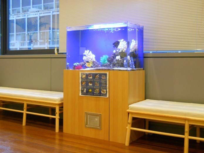 都内 企業様  90cm海水魚水槽  設置事例