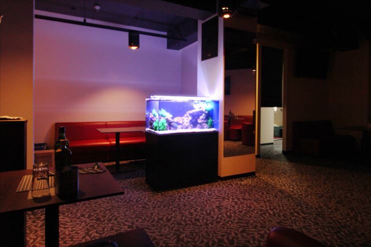 神奈川県　川崎市　飲食店内に設置　90cm海水魚水槽事例のサムネイル画像
