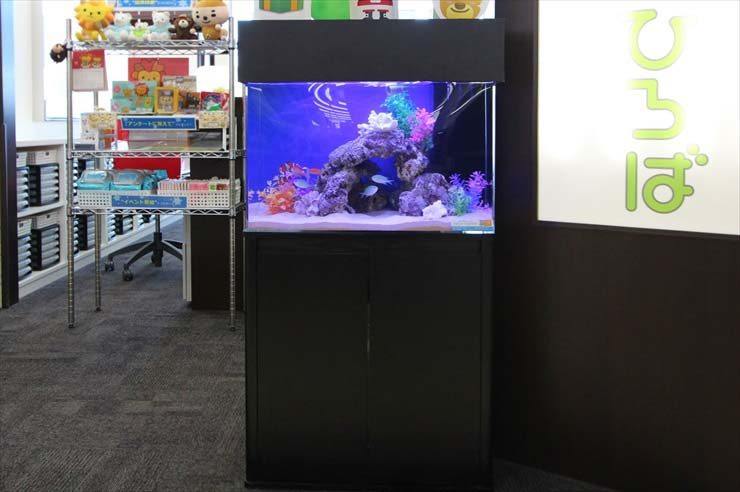 埼玉県 日高市 保険相談所 60cm海水魚水槽 レンタル事例のサムネイル画像