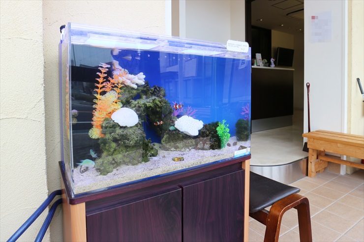 歯科医院のエントランス 60cm海水魚水槽 レンタル事例 水槽画像3