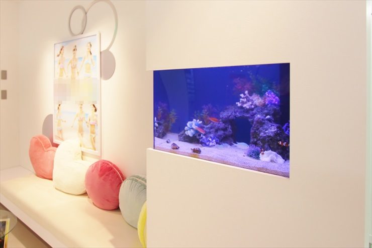 千葉県　習志野市　美容サロンのエントランス　海水魚水槽設置事例のサムネイル画像