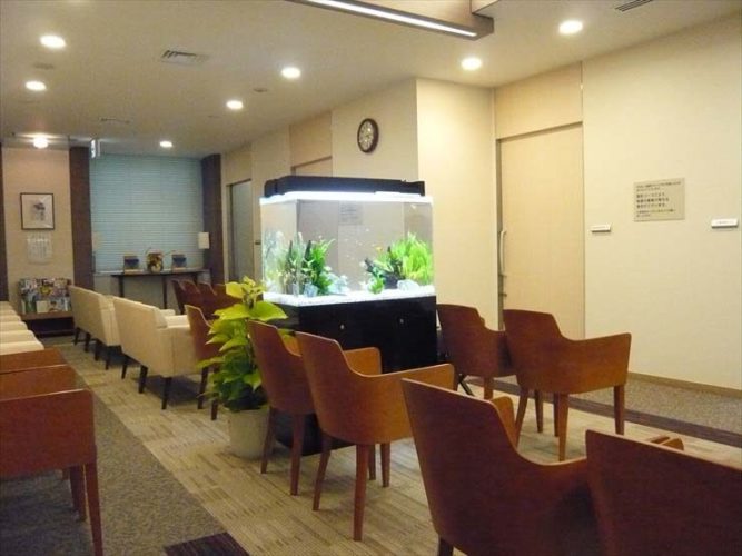 新宿区 検診センター様 90cm淡水魚水槽 レンタル事例のサムネイル画像