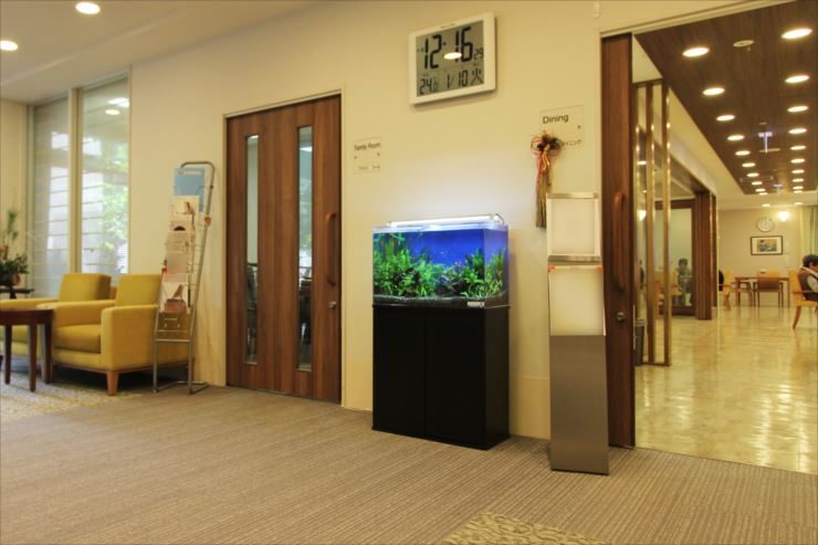 府中市　老人ホームに設置　60cm淡水魚水槽事例のサムネイル画像