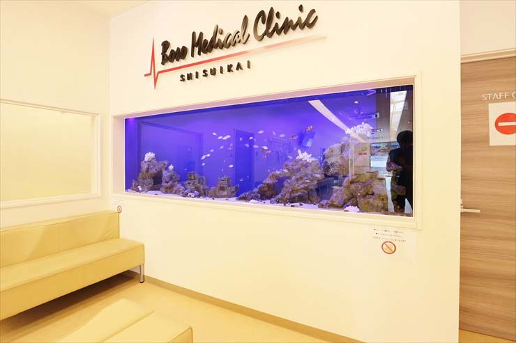 房総メディカルクリニック様 大型海水魚水槽リース 設置事例 水槽画像2