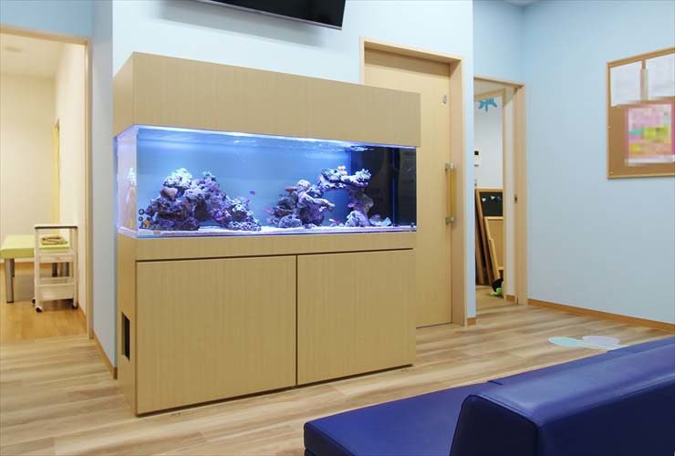 茨城県守谷市 医療施設に設置 大型海水魚水槽販売事例