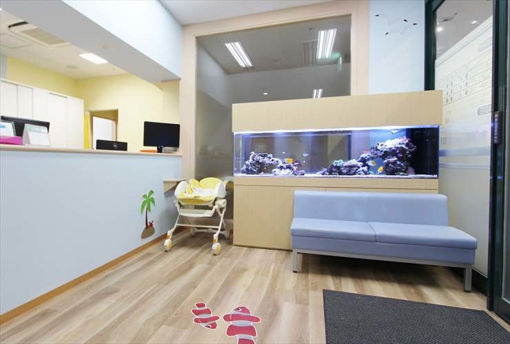 茨城県守谷市 医療施設に設置 大型海水魚水槽販売事例 水槽画像2