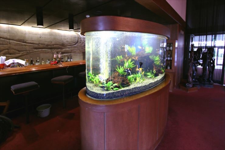 神奈川県茅ヶ崎　飲食店の大型半円水槽　リニューアル事例