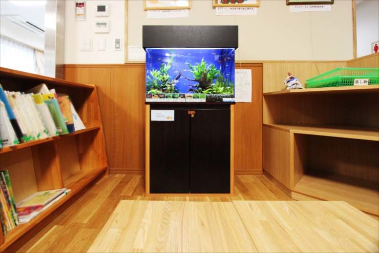 板橋区　保育園に設置　60cm淡水魚水槽 レンタル事例