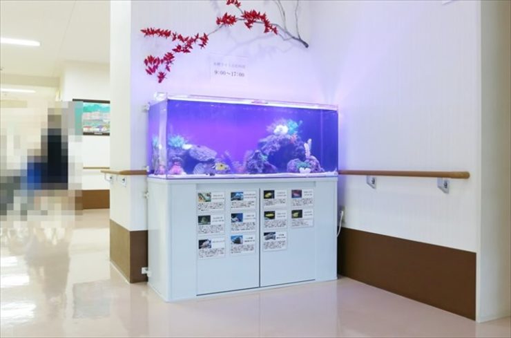 横浜市　介護老人保健施設　120cm海水魚水槽レンタル事例 水槽画像１