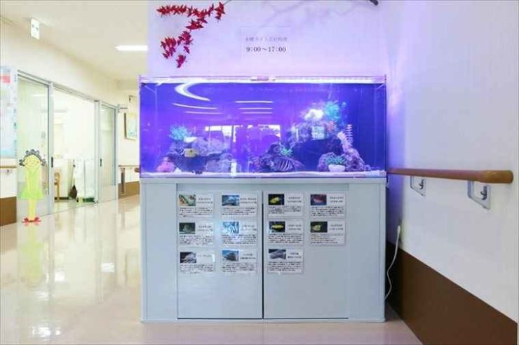 横浜市　介護老人保健施設　120cm海水魚水槽レンタル事例 水槽画像２