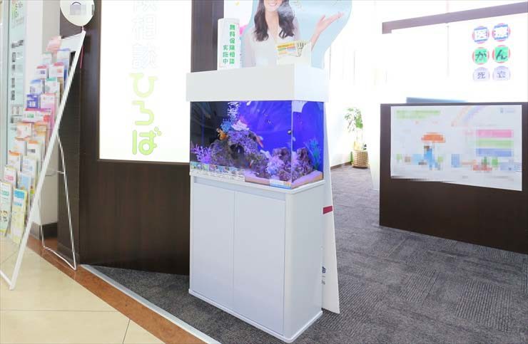 千葉県佐倉市 保険相談所 60cm海水魚水槽レンタル事例のサムネイル画像