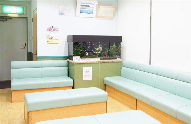 薬局の待合室に設置した幻想的な淡水魚水槽事例 水槽画像3