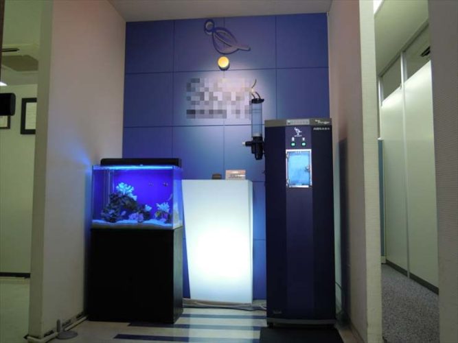 荒川区　企業様のエントランスに設置　 海水魚水槽　レンタル事例　のサムネイル画像