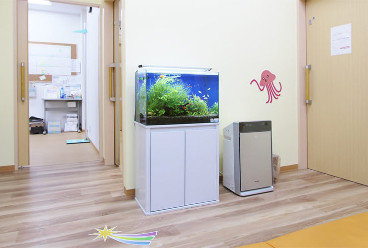 クリニックの待合室に設置された水草と小型魚の熱帯魚水槽