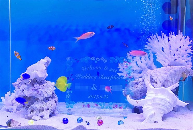 結婚式場に設置 アクアリウムウエディング(海水魚水槽)の事例 水槽画像2
