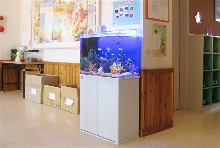 幼稚園　海水魚水槽　設置事例：こどもたちの情操教育に最適 水槽画像１
