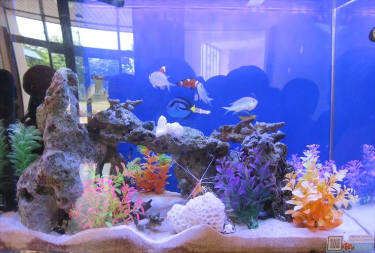 幼稚園　海水魚水槽　設置事例：こどもたちの情操教育に最適 水槽画像２