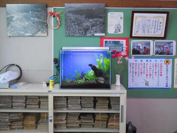 掲示板の前に置かれた水草と流木入りの水槽と棚の古本