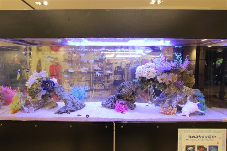 百貨店イベントに設置　海水魚水槽（短期レンタル）の事例 水槽画像２