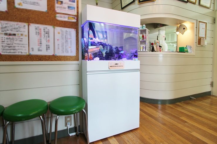 神奈川県横須賀市　歯科医院の待合室に設置　アクアリウム（海水魚水槽）のレンタル事例のサムネイル画像