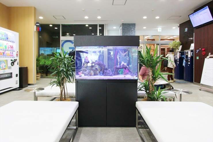 神奈川県 横浜市 スポーツクラブの待合室に設置 アクアリウム(90cm海水魚水槽)の事例のサムネイル画像