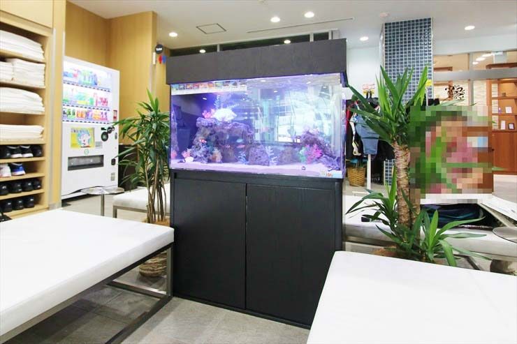 神奈川県 横浜市 スポーツクラブの待合室に設置 アクアリウム(90cm海水魚水槽)の事例 水槽画像3