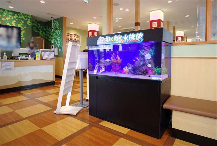 回転寿司チェーン店に設置 海水アクアリウム(120cm海水魚水槽)の事例 メイン画像