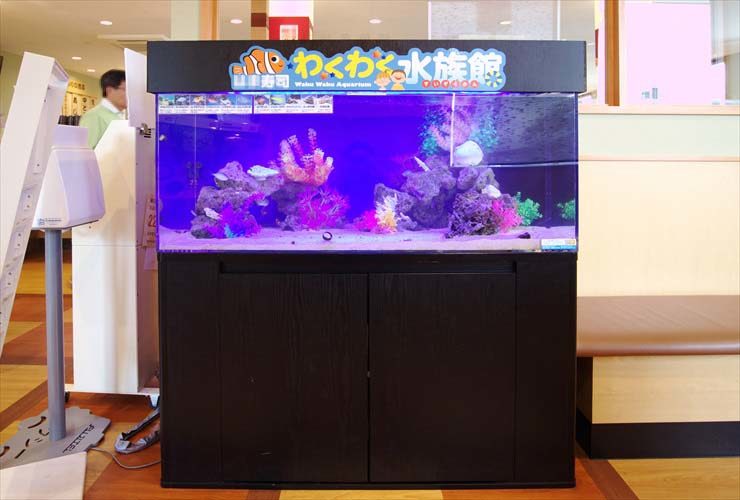 回転寿司チェーン店に設置 海水アクアリウム(120cm海水魚水槽)の事例 水槽画像3