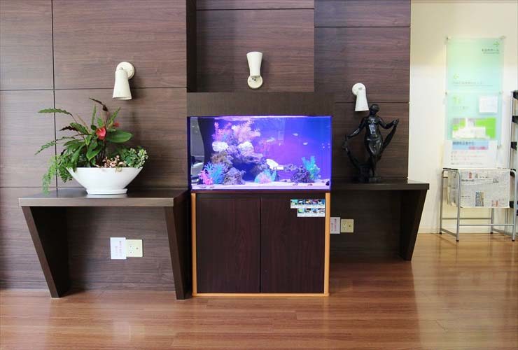 記念会館のエントランスに設置 海水アクアリウム(木目キャビネット)のレンタル事例 水槽画像1