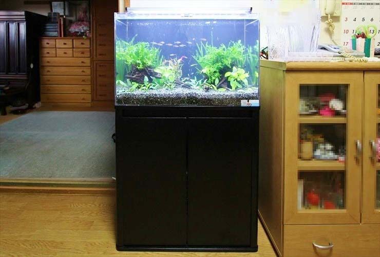 神奈川県 個人宅のリビングに設置 淡水アクアリウム(60cm水槽)の事例のサムネイル画像