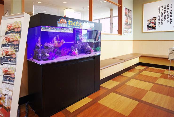 回転寿司店の待合スペースに設置 わくわく水族館(120cm海水水槽)の事例 水槽画像3